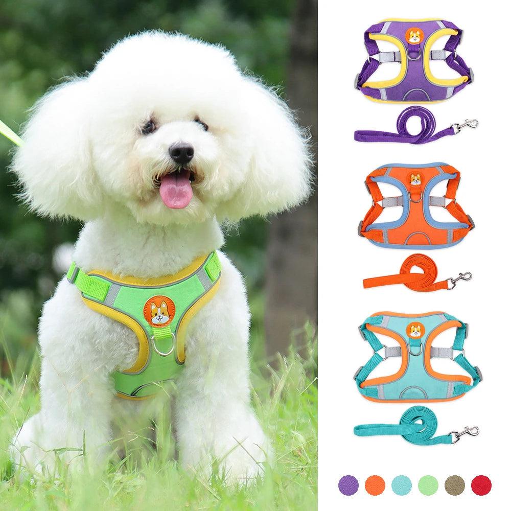 No Pull Dog Harness Set