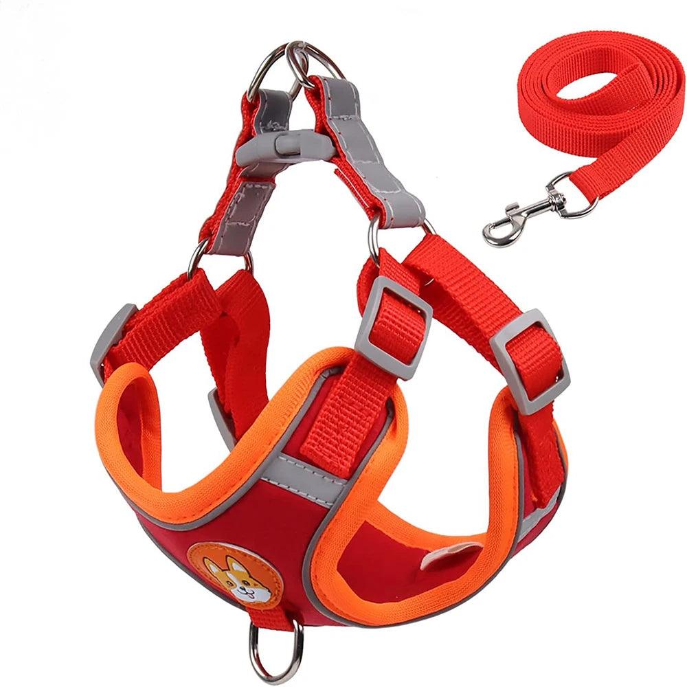 Reflective Pet Harness & Leash