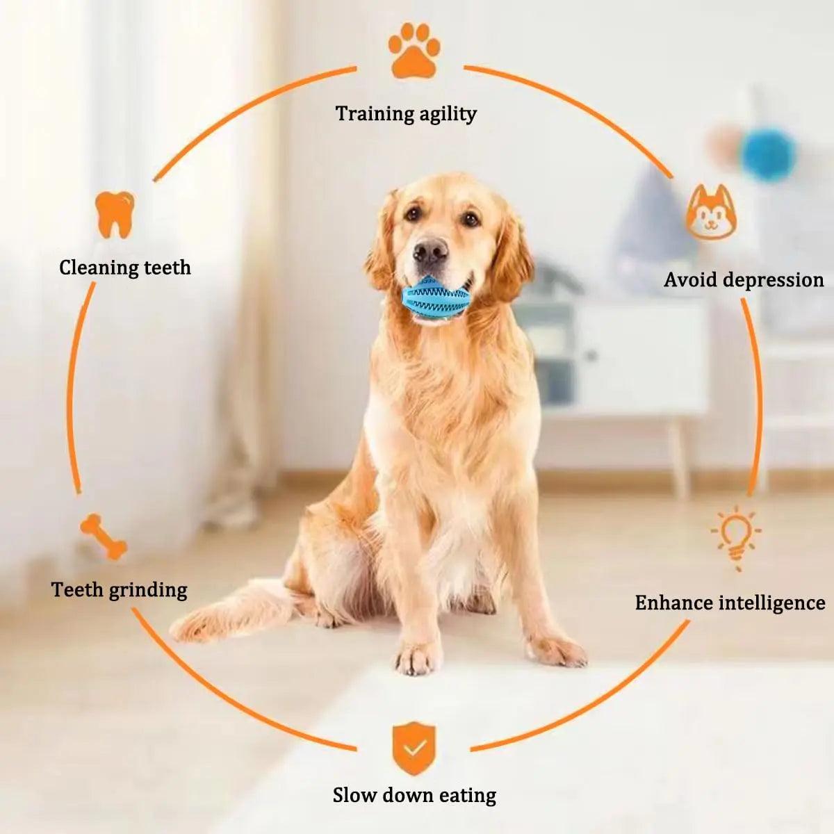 Tough Teeth Cleaning Chew Ball