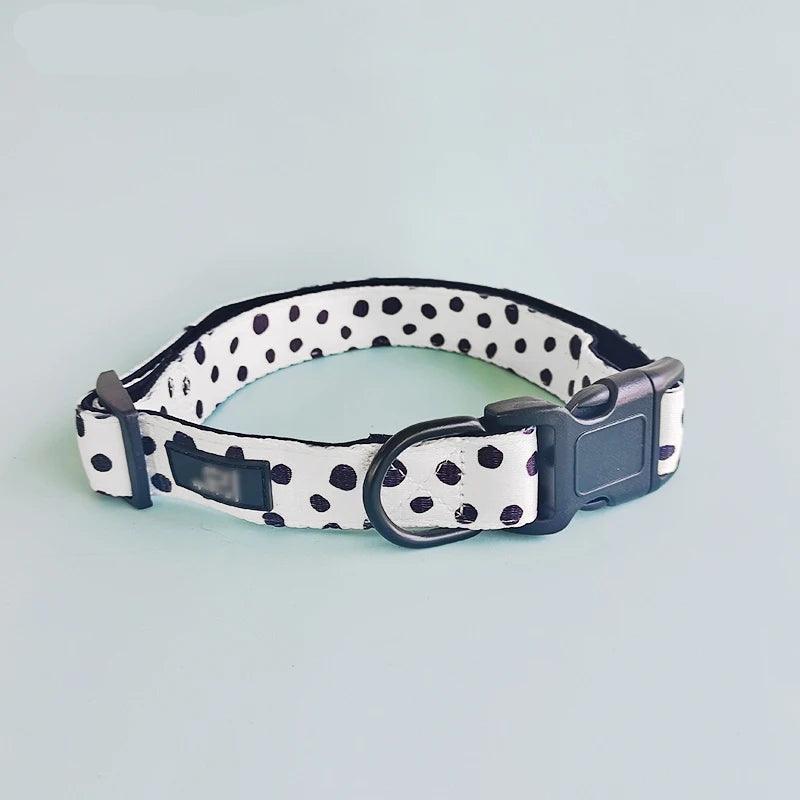 4-in-1 Pet Harness Set