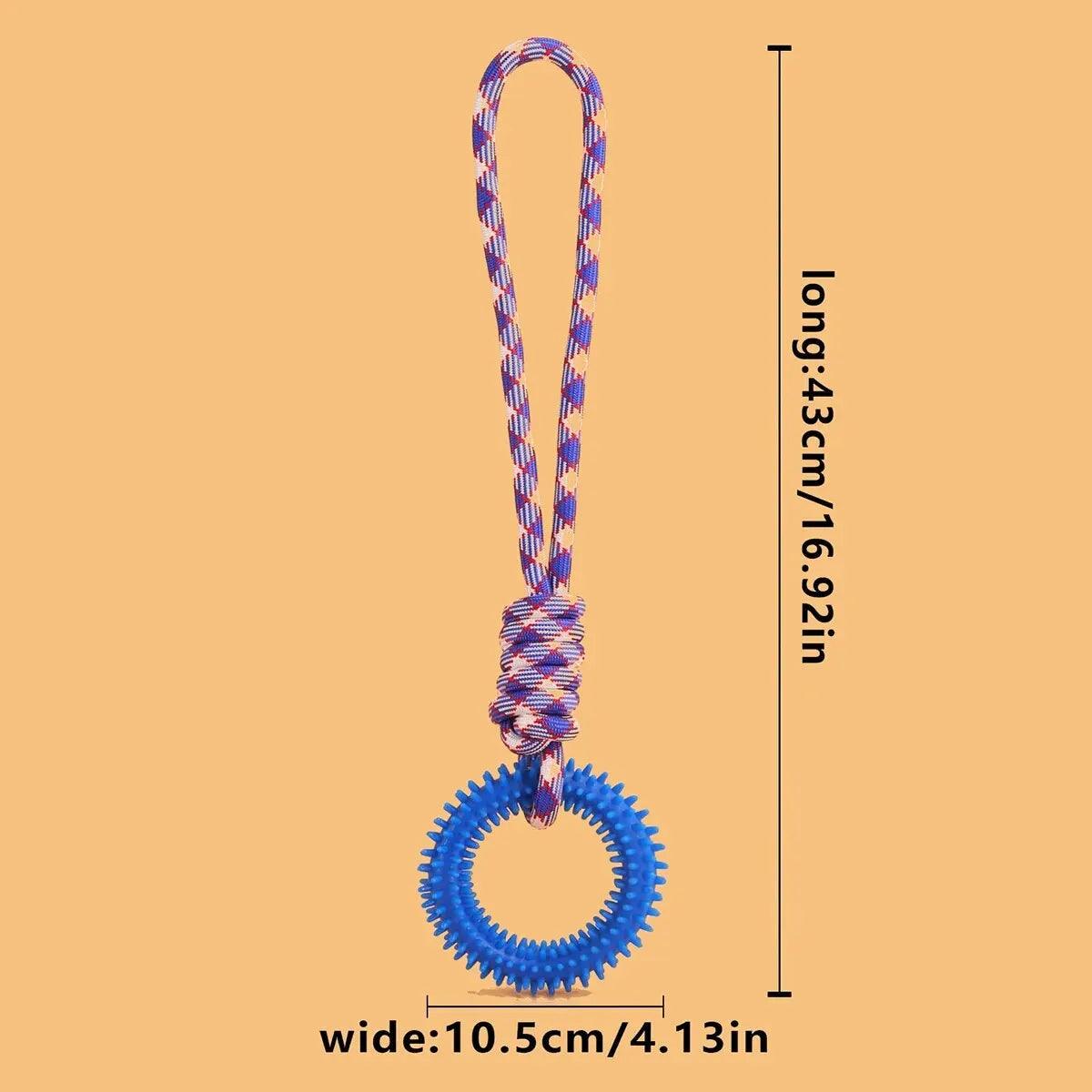 Spiked Ring Dog Training Toy