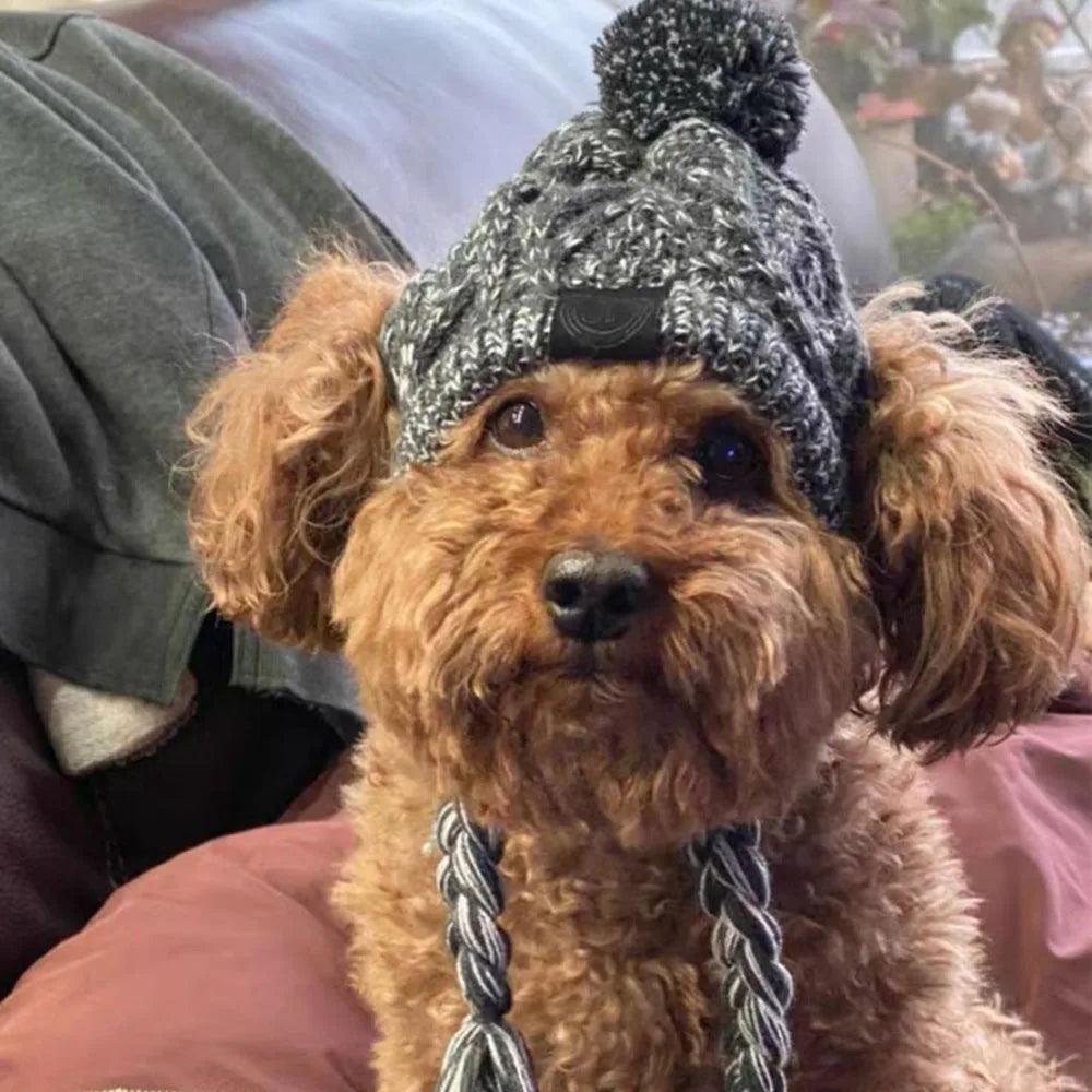 Cozy Knitted Dog Hat