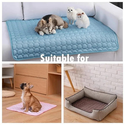 Adjustable Breathable Dog Car Harness