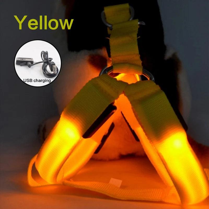 LED Rechargeable Dog Harness