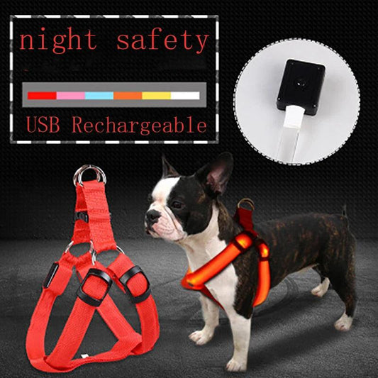 LED Rechargeable Dog Harness