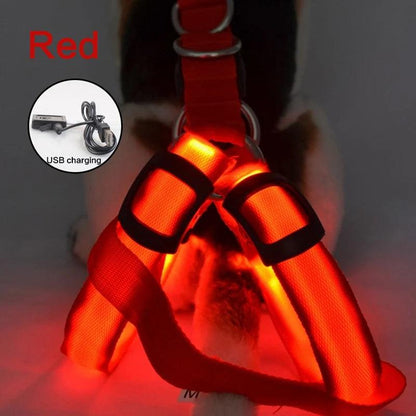 LED Rechargeable Dog Harness