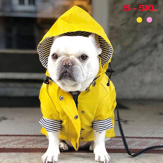 Waterproof Sport Dog Jacket