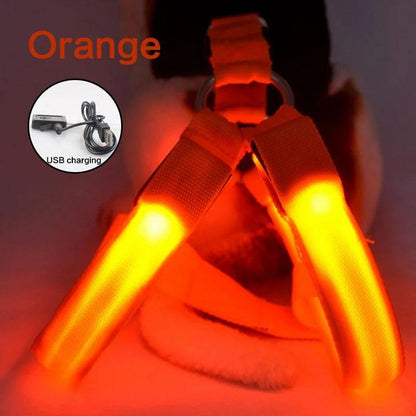 LED Rechargeable Dog Harness