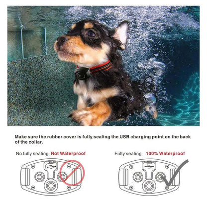2-in-1 Dog Training CollarDescription:

Train your dog with confidence! This 2-in-1 remote training and anti-bark collar offers adjustable modes, a waterproof design, and long-range control fRegal Pet PalaceRegal Pet Palace2-in-1 Dog