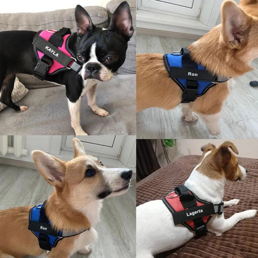 Reflective Adjustable Dog Harness