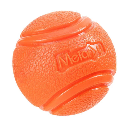 Bouncy Dog Chew Ball