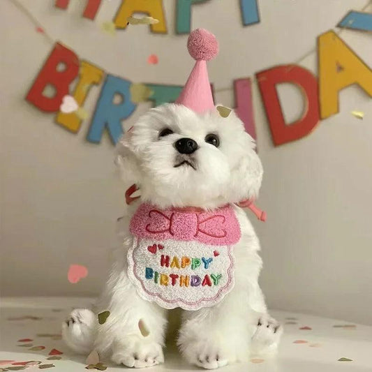 Birthday Hat & Bandana Set