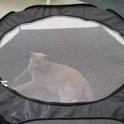 Foldable Cat Tunnel SetDescription:

Transform your cat's playtime with this foldable two-piece tunnel set. Perfect for curious cats and small pets, offering hours of entertainment and comRegal Pet PalaceRegal Pet PalaceFoldable Cat Tunnel