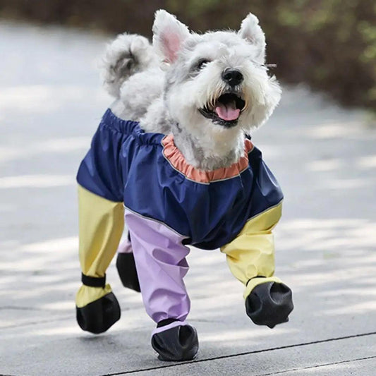 Waterproof Dog Boots & Suspenders