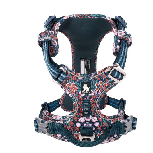 Truelove Fashionable Dog Harness