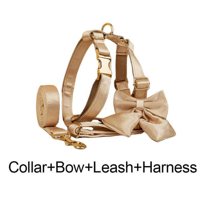 Custom Luxury Designer Dog Set