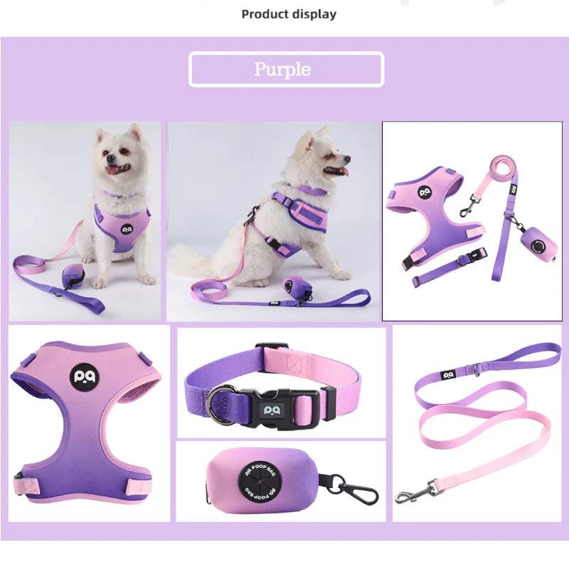 Adjustable Mesh Harness Set