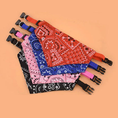 Stylish Bandana Collar Set