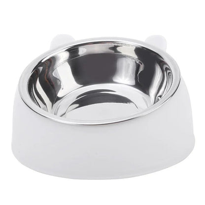 Ergonomic Tilted Pet Bowl