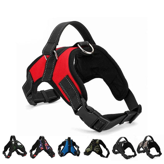 Quick-Release Dog Harness