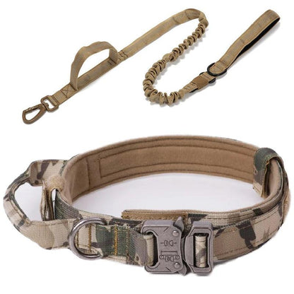 Durable Dog Collar & Leash