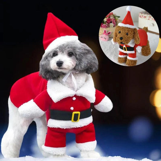 Santa Paws Holiday Costume