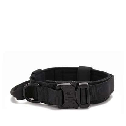 Durable Dog Collar & Leash