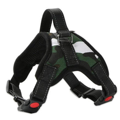 Quick-Release Dog Harness