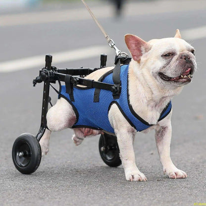 Adjustable Small Dog WheelchairDescription:

Give your disabled pet a second chance at mobility! This adjustable wheelchair helps small dogs regain independence, ensuring they stay active and happRegal Pet PalaceRegal Pet PalaceAdjustable Small Dog