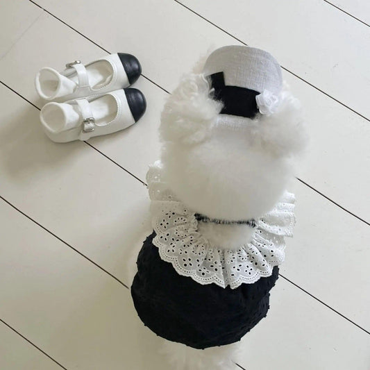 Elegant Summer Dog Dress