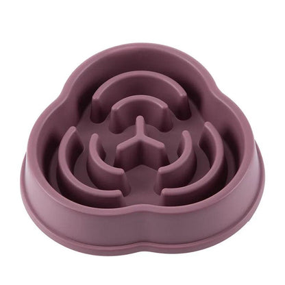 Anti-Choking Slow Feed Bowl