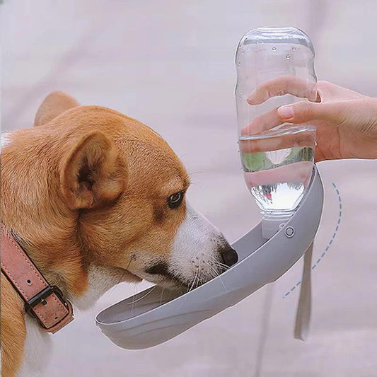 Portable Dog Water Bottle
