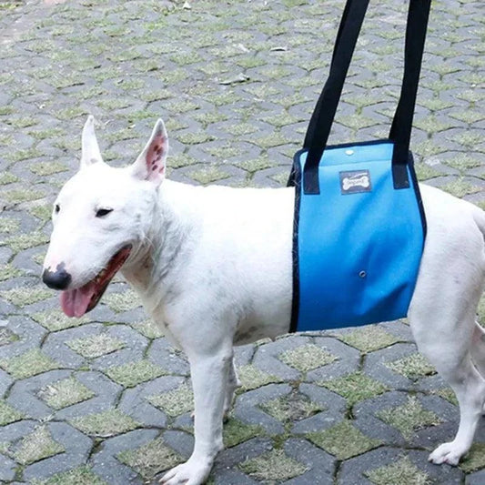 Adjustable Dog Lift HarnessDescription:

Give your senior or injured dog the support they deserve! This adjustable lift harness helps with mobility, easing joint pain and making daily walks moRegal Pet PalaceRegal Pet PalaceAdjustable Dog Lift
