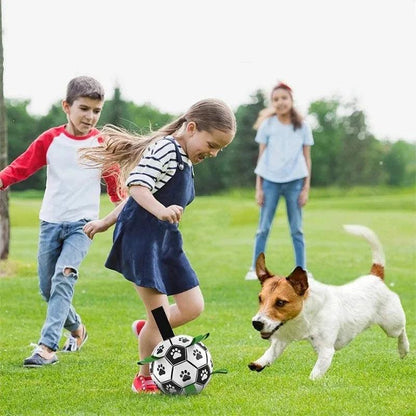 Durable Interactive Dog Soccer Ball