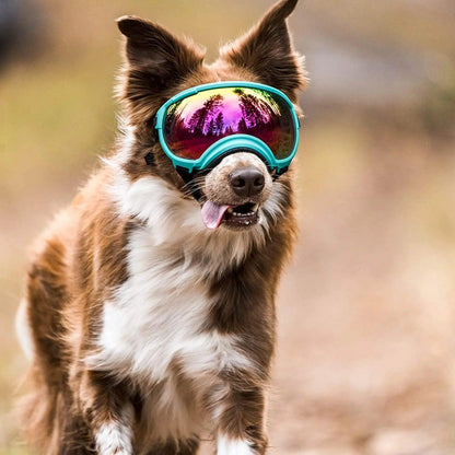 Impact-Resistant Dog Goggles