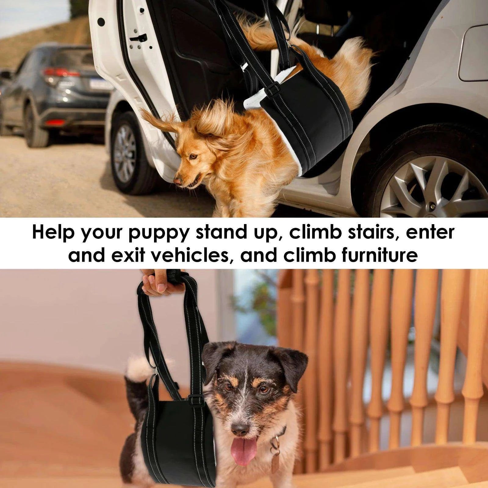 Adjustable Dog Lift HarnessDescription:

Give your furry friend the support they need! This adjustable harness helps pets with joint injuries or mobility issues, allowing them to move with comRegal Pet PalaceRegal Pet PalaceAdjustable Dog Lift