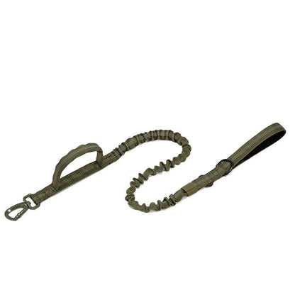 Durable Dog Collar & Leash