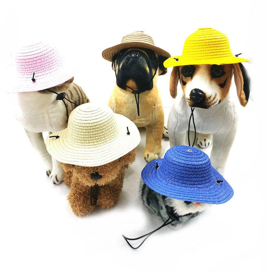 Mini Pet Sombrero Hat