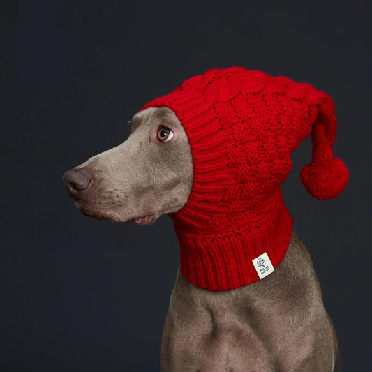 Cozy Pom-Pom Dog Hat