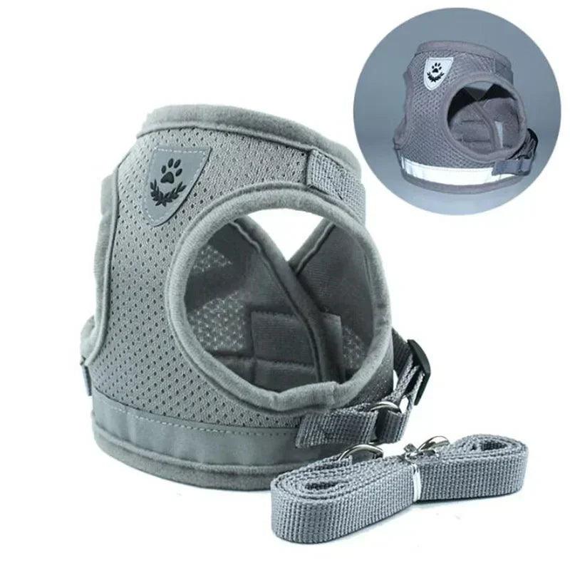 Adjustable Pet Harness & Leash