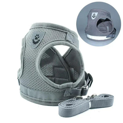 Adjustable Pet Harness & Leash