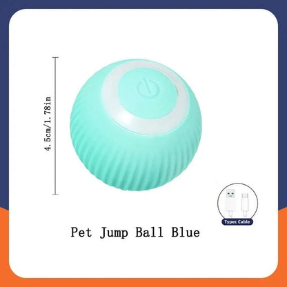 Smart Interactive Dog Ball