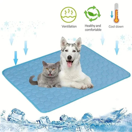 Adjustable breathable dog car harness with secure seat belt attachment and breathable mesh fabric.
