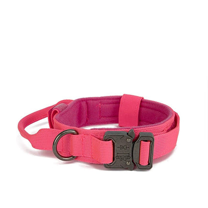 Durable Dog Collar & Leash
