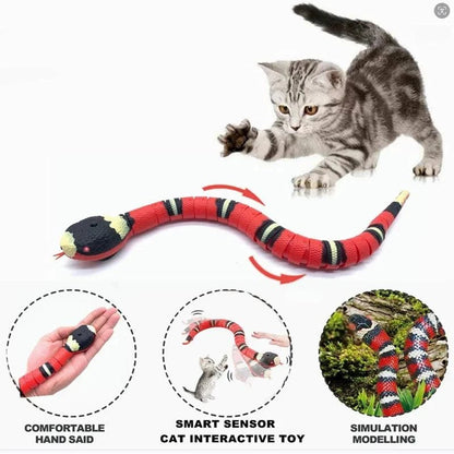 Smart interactive cat snake toy in action with playful kitten.