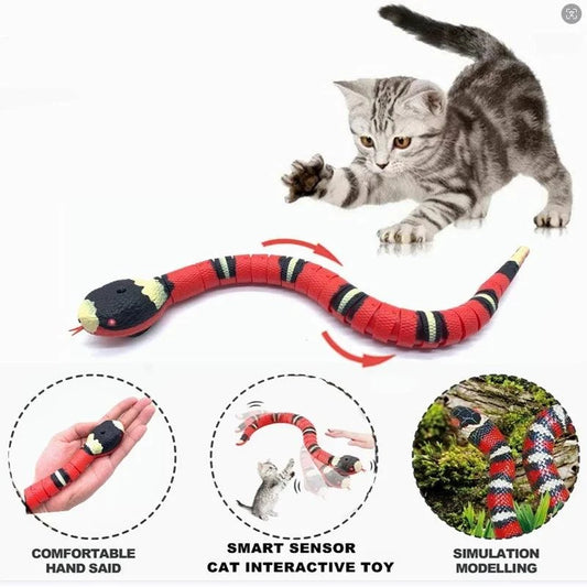 Smart interactive cat snake toy in action with playful kitten.