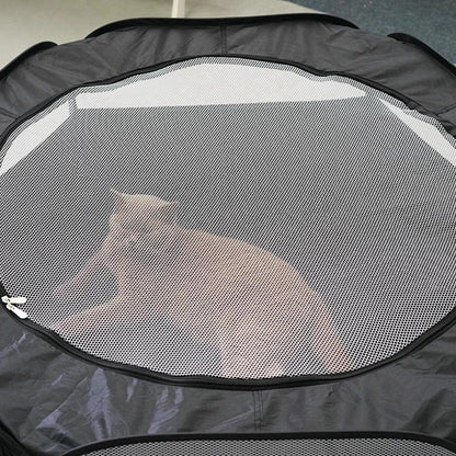 Portable Cat Tent Tunnel