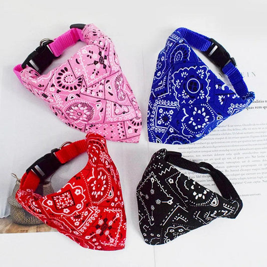 Stylish Bandana Collar Set