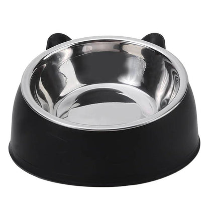 Ergonomic Tilted Pet Bowl