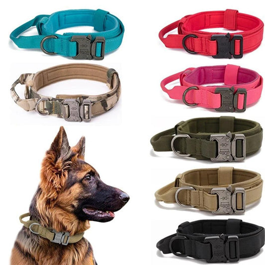 Durable Dog Collar & Leash
